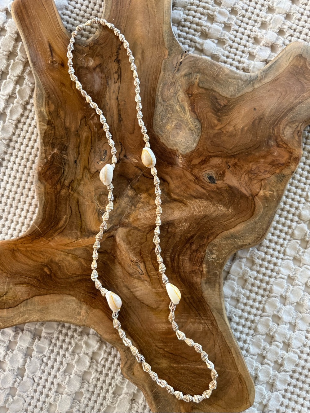 Coastal Boho Natural Seashell Long Necklace Beach Jewelry